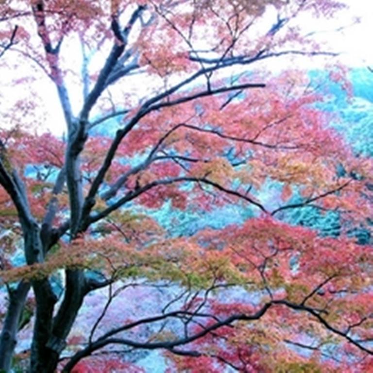 Raku Yado Hana Hana Ito  Exterior foto